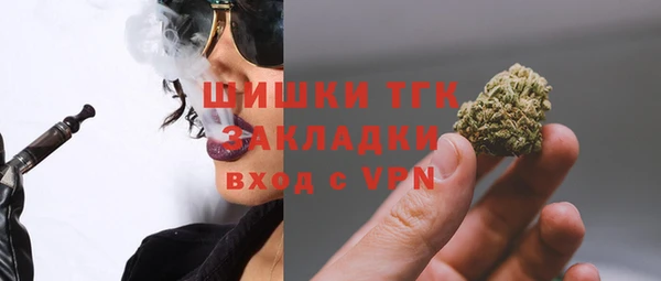 шишки Магадан