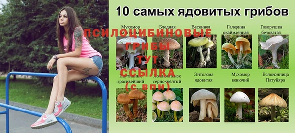 гидропоника Майский
