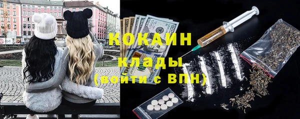 шишки Магадан