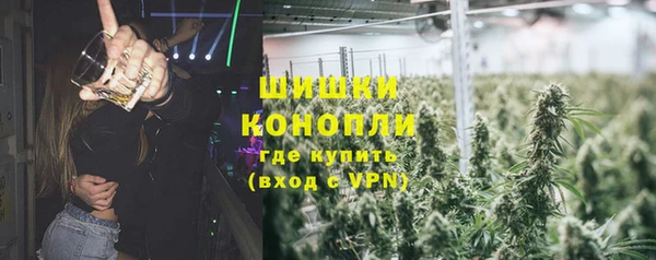 трава Магас